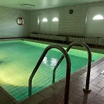 Lazy Dolphin